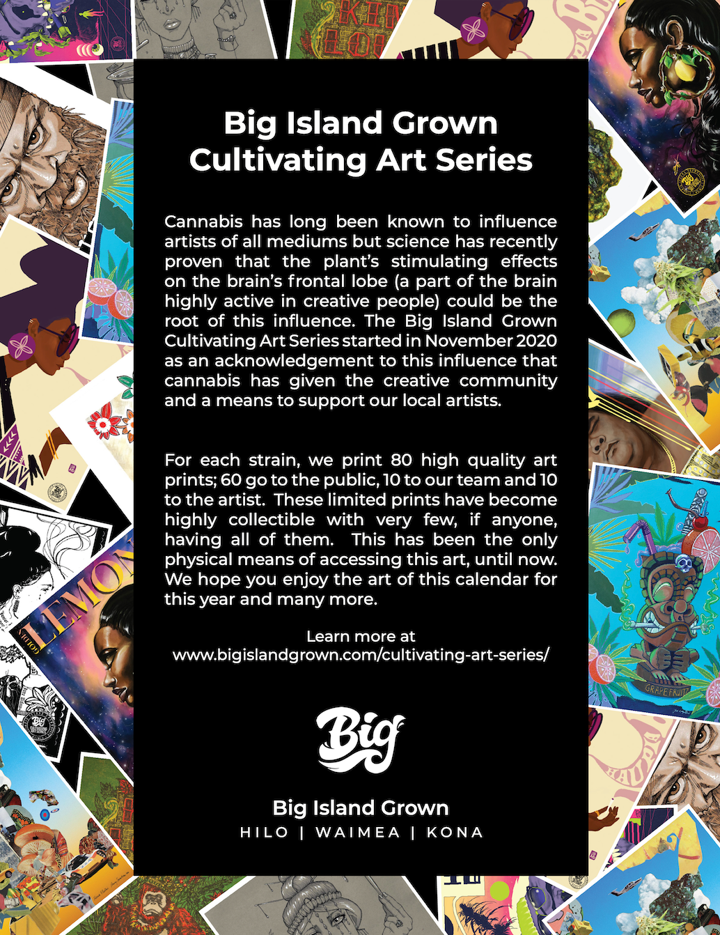 Big Island Grown Cultivating Art Calendar featuring local artwork, sustainable design, and monthly inspiration for 2025.
